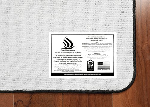 Flagship Carpets My America Doodle Map Children's Educational Area Rug for Libraries, Kids Classroom Carpet, and Learning Centers, 7'6" x 12'|B01FLNSDK4