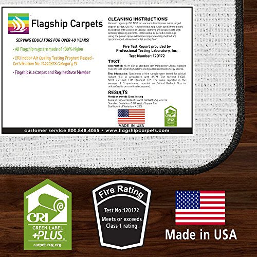 Flagship Carpets My America Doodle Map Children's Educational Area Rug for Libraries, Kids Classroom Carpet, and Learning Centers, 7'6" x 12'|B01FLNSDK4