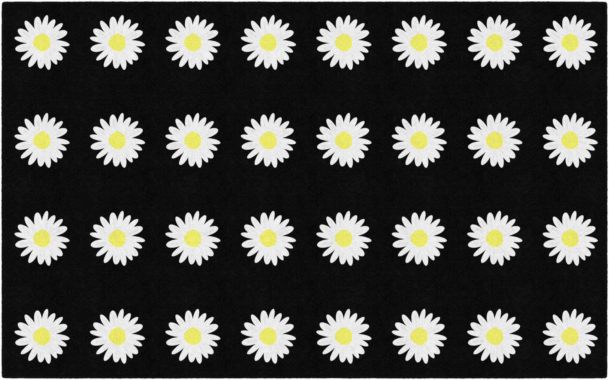 Black and white daisy sit spots